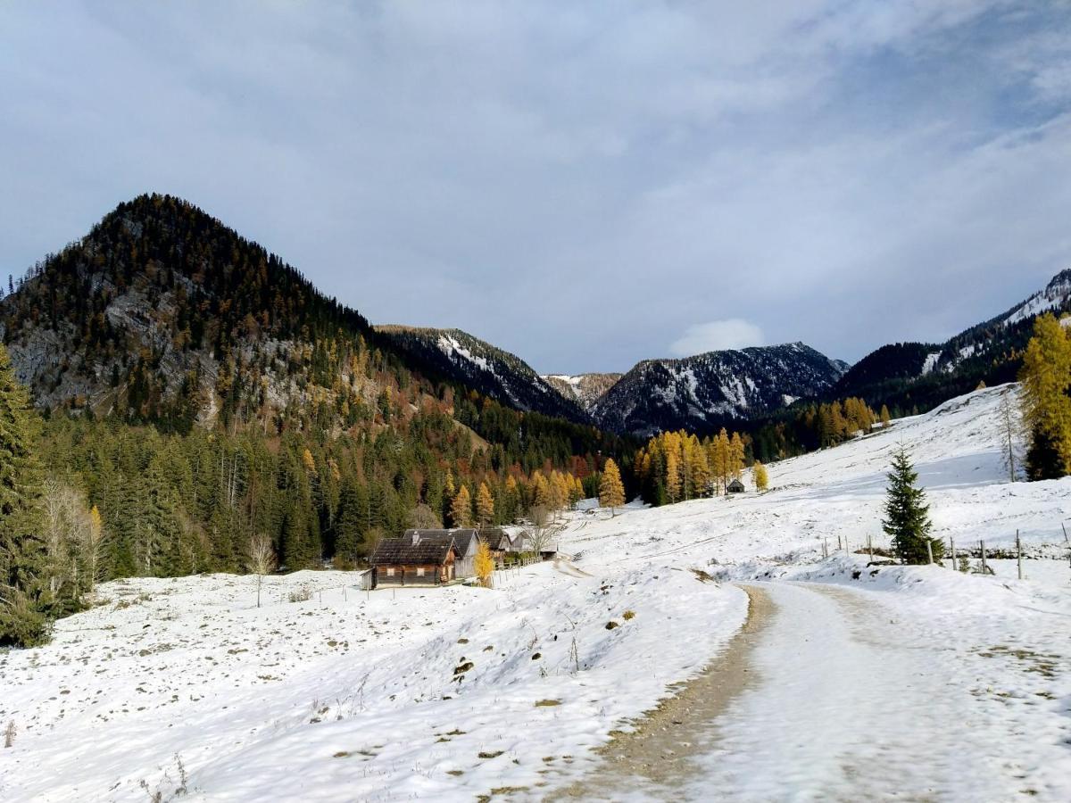 Apartmán Berglebnis