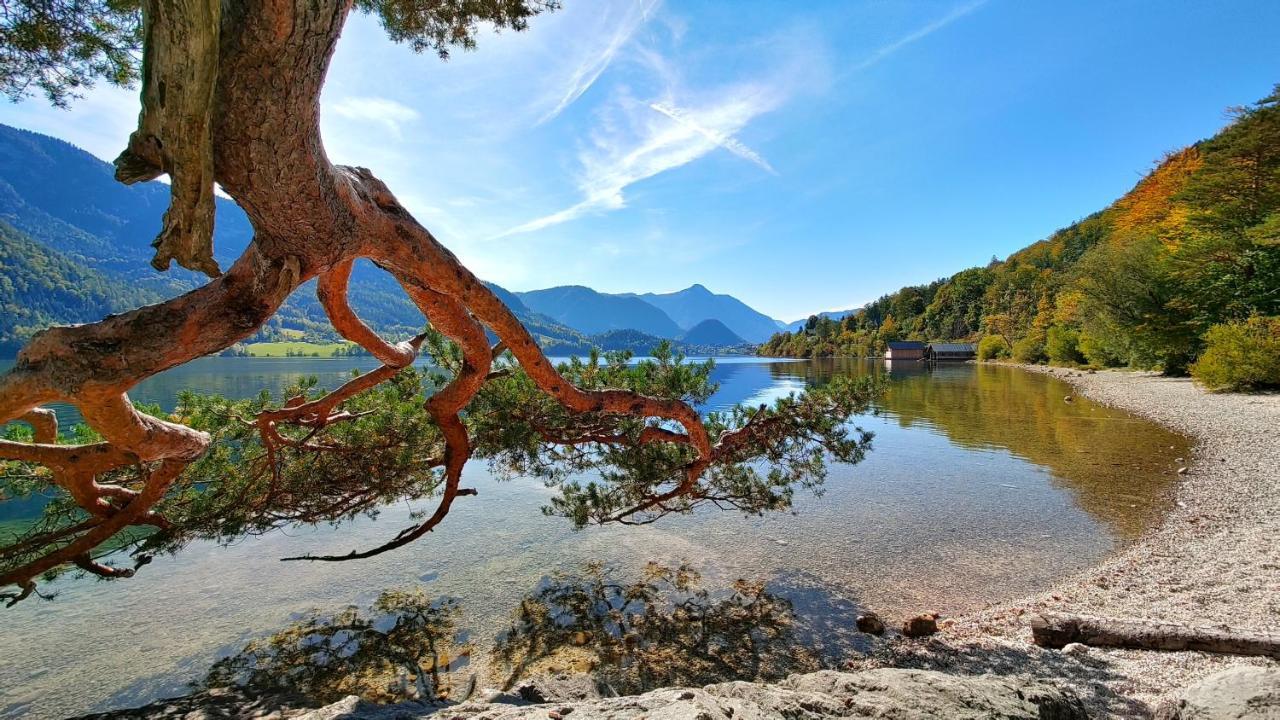 Berglebnis * Tauplitz