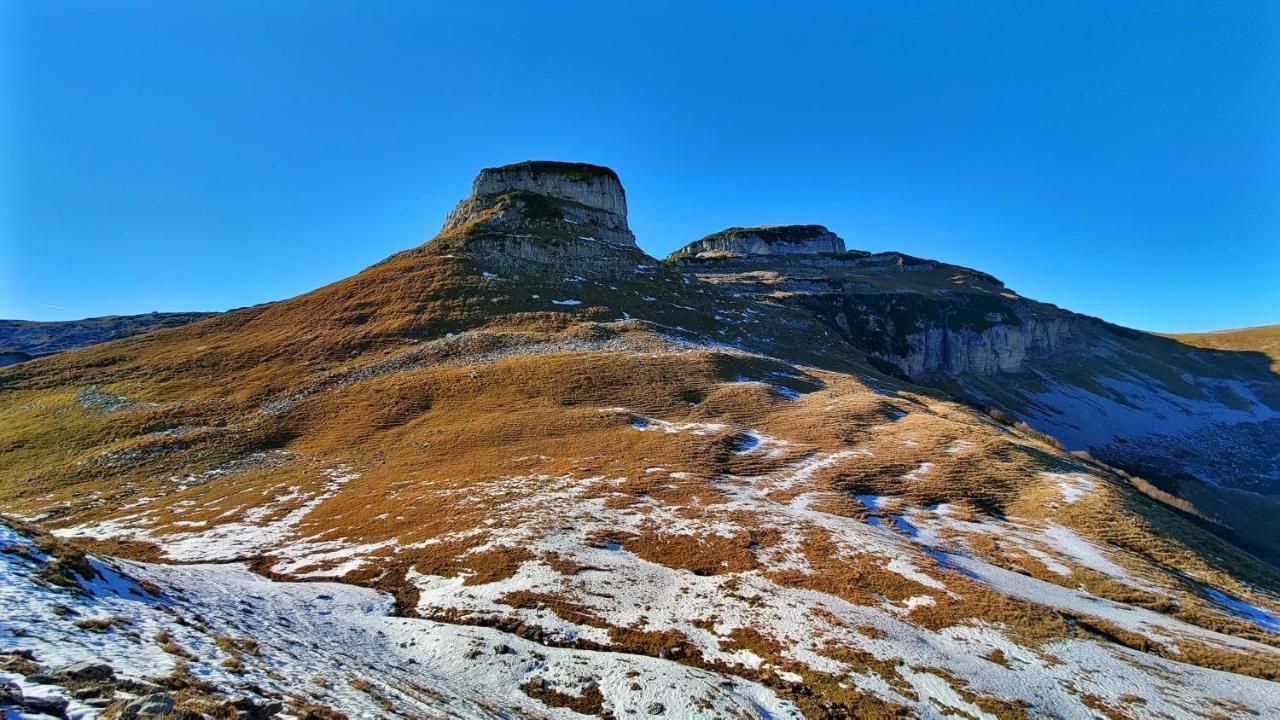 Berglebnis