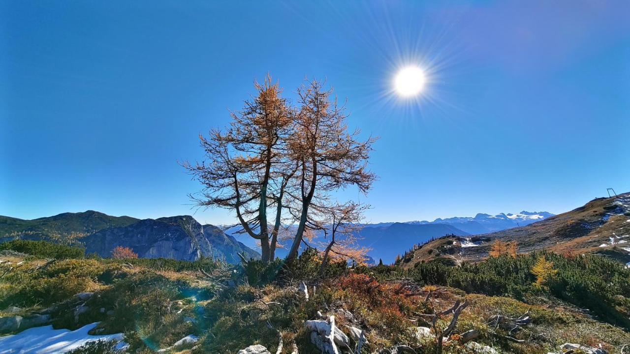 Berglebnis * Tauplitz